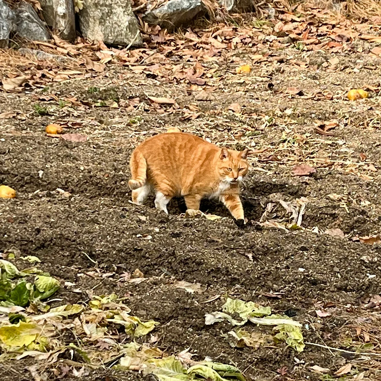 IMG%EF%BC%BF9899.jpg?type=w1600