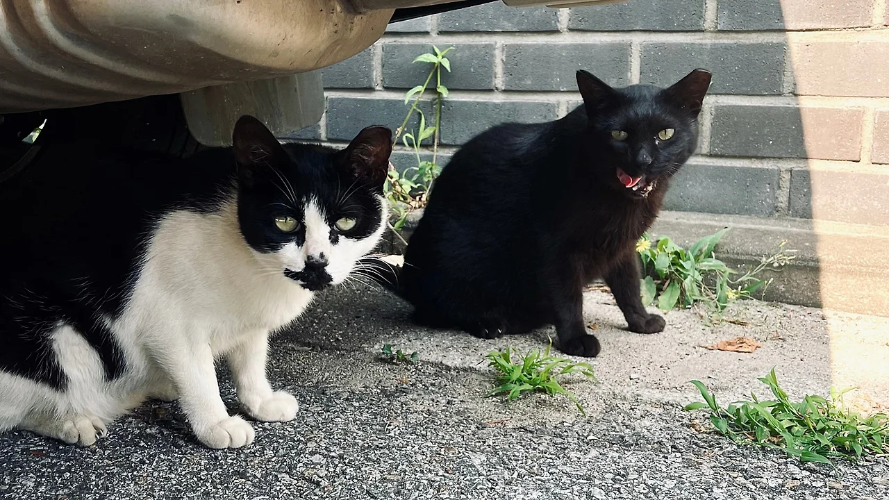 SE-298bfe95-4bc3-4f31-a507-0ae0b728d786.jpg?type=w1600