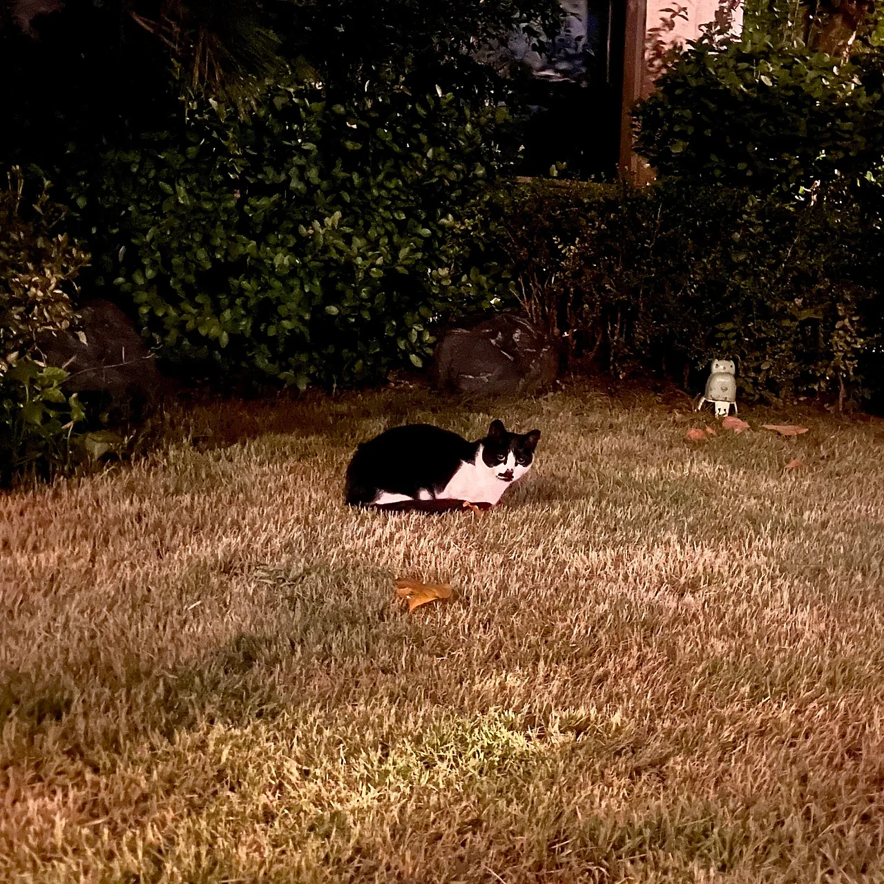 IMG%EF%BC%BF1740.jpg?type=w1600