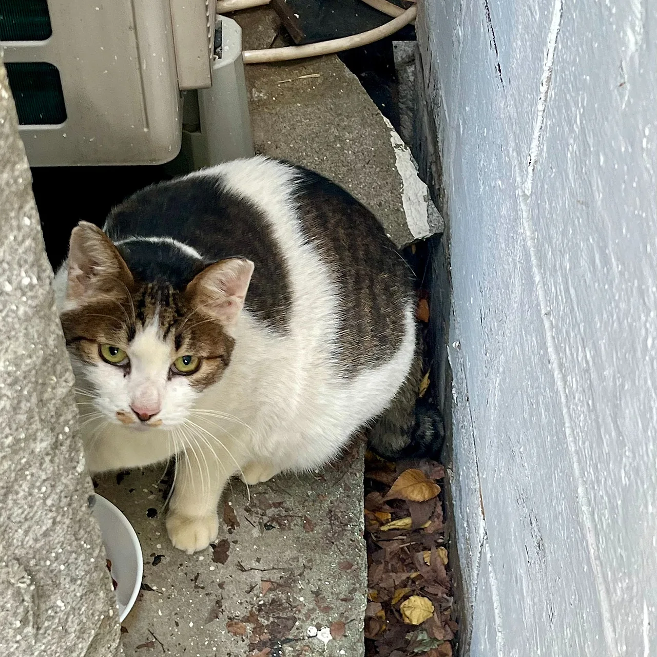 SE-8782A2C8-7F29-45D4-9B8B-4C0312DAF467.jpg?type=w1600