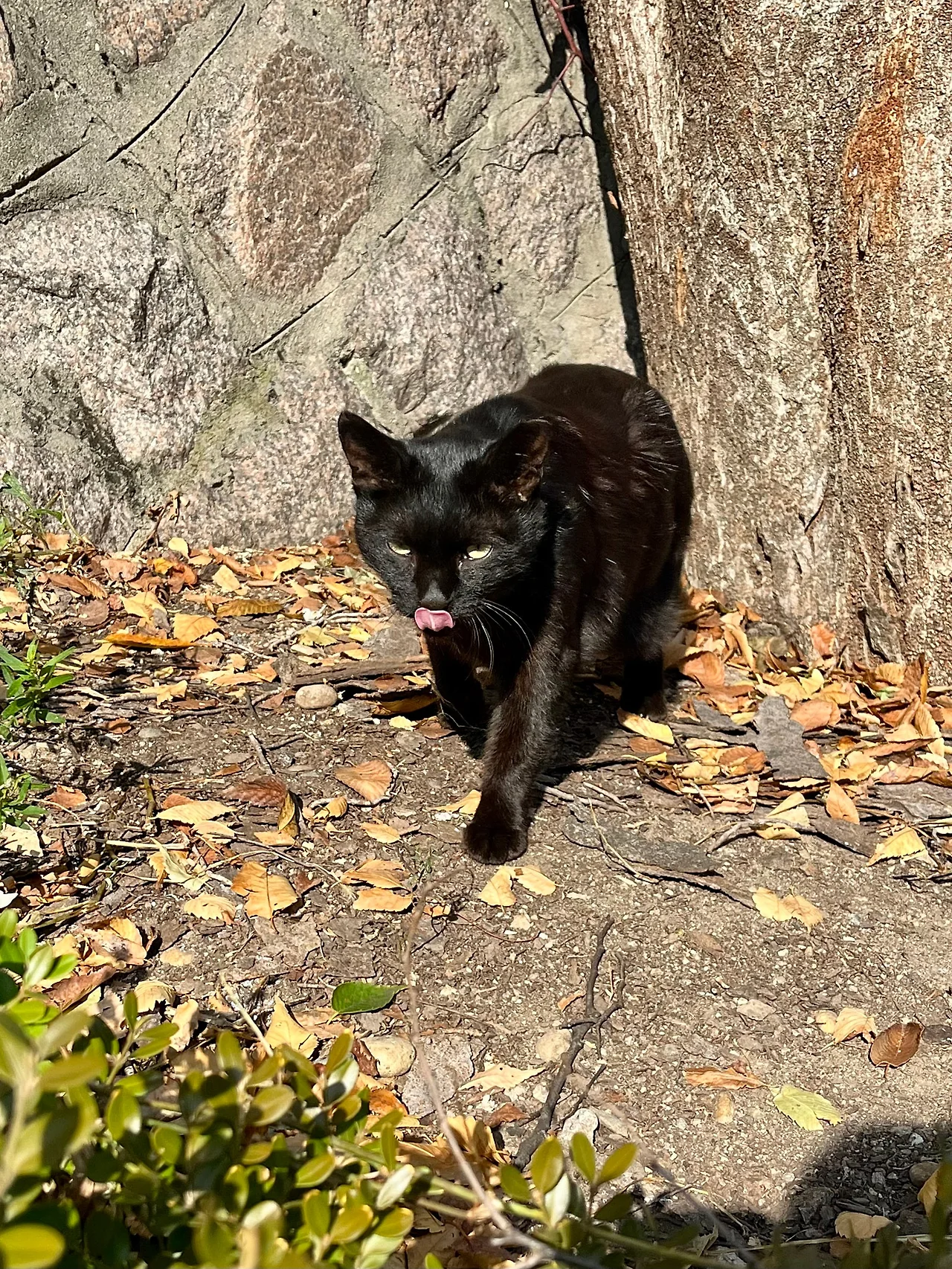 IMG%EF%BC%BF4538.jpg?type=w1600