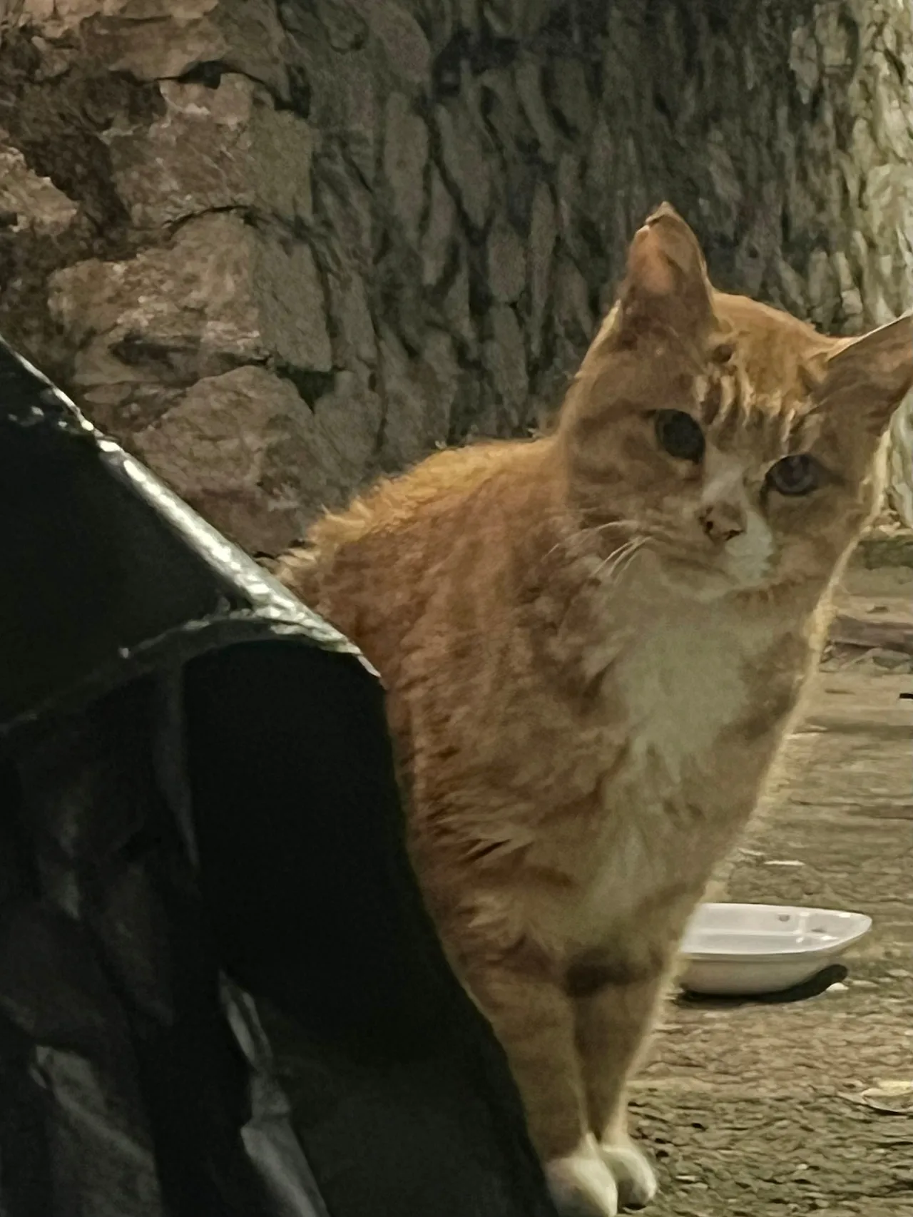 IMG%EF%BC%BF9747.jpg?type=w1600