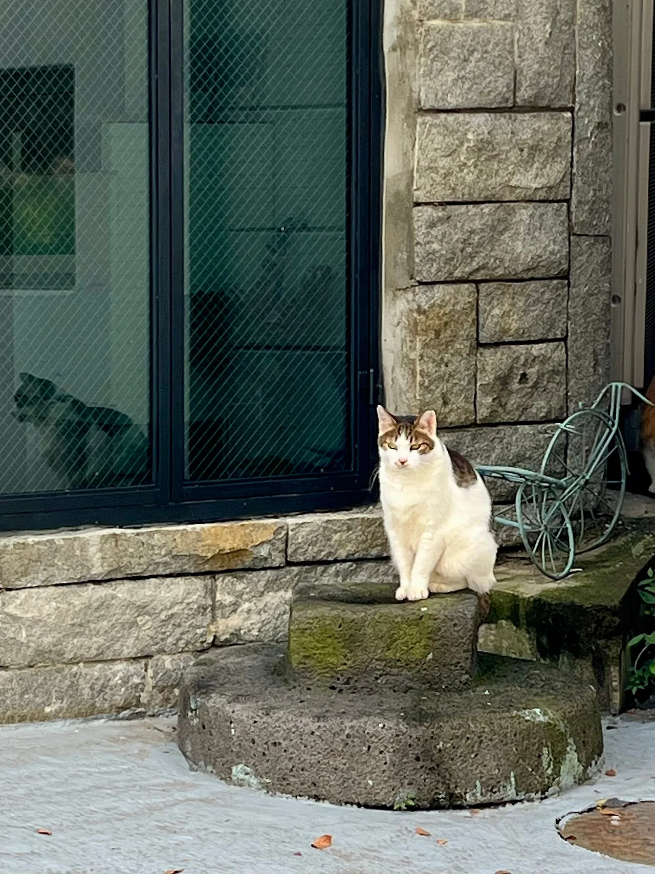 IMG%EF%BC%BF2283.jpg?type=w1600