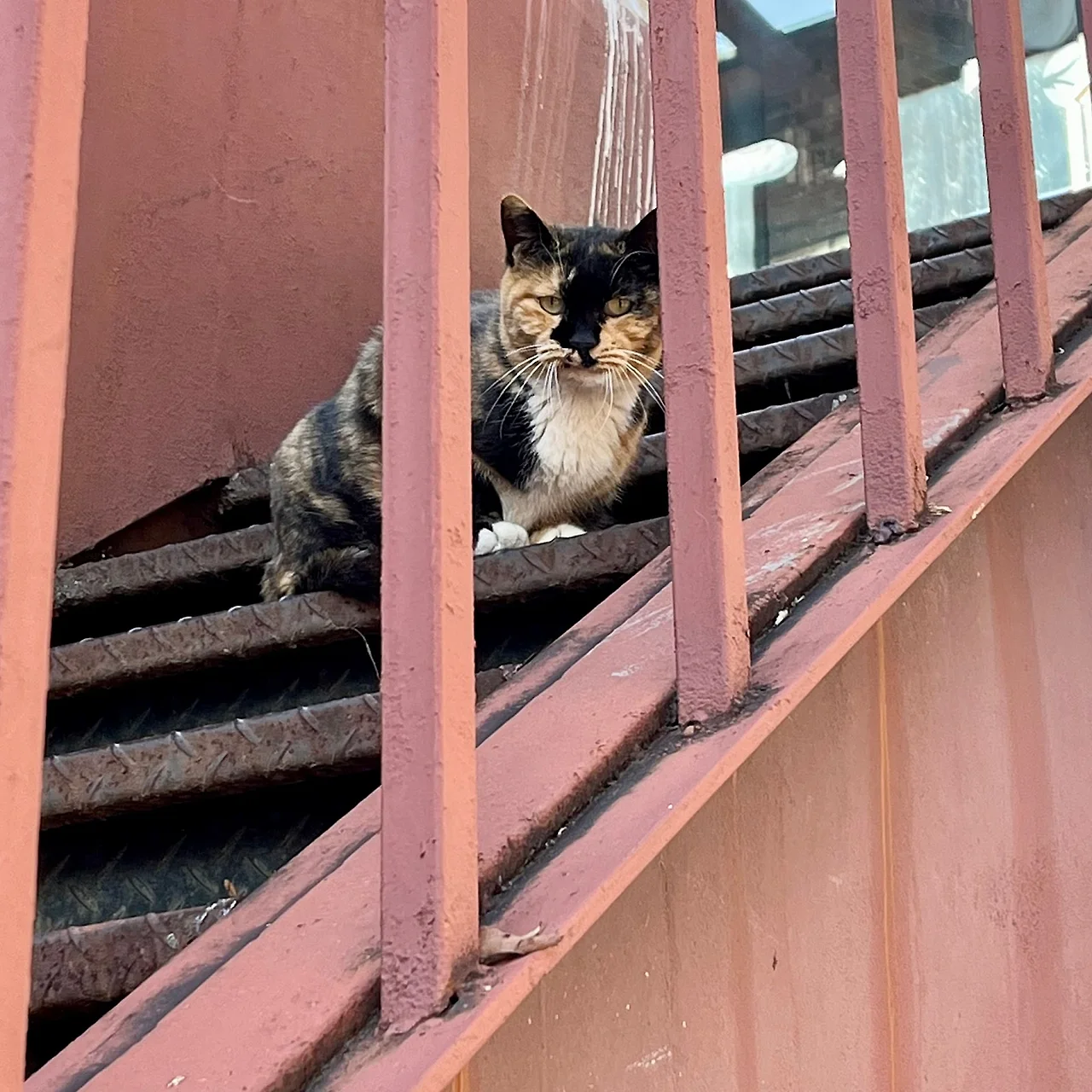 IMG%EF%BC%BF9975.jpg?type=w1600