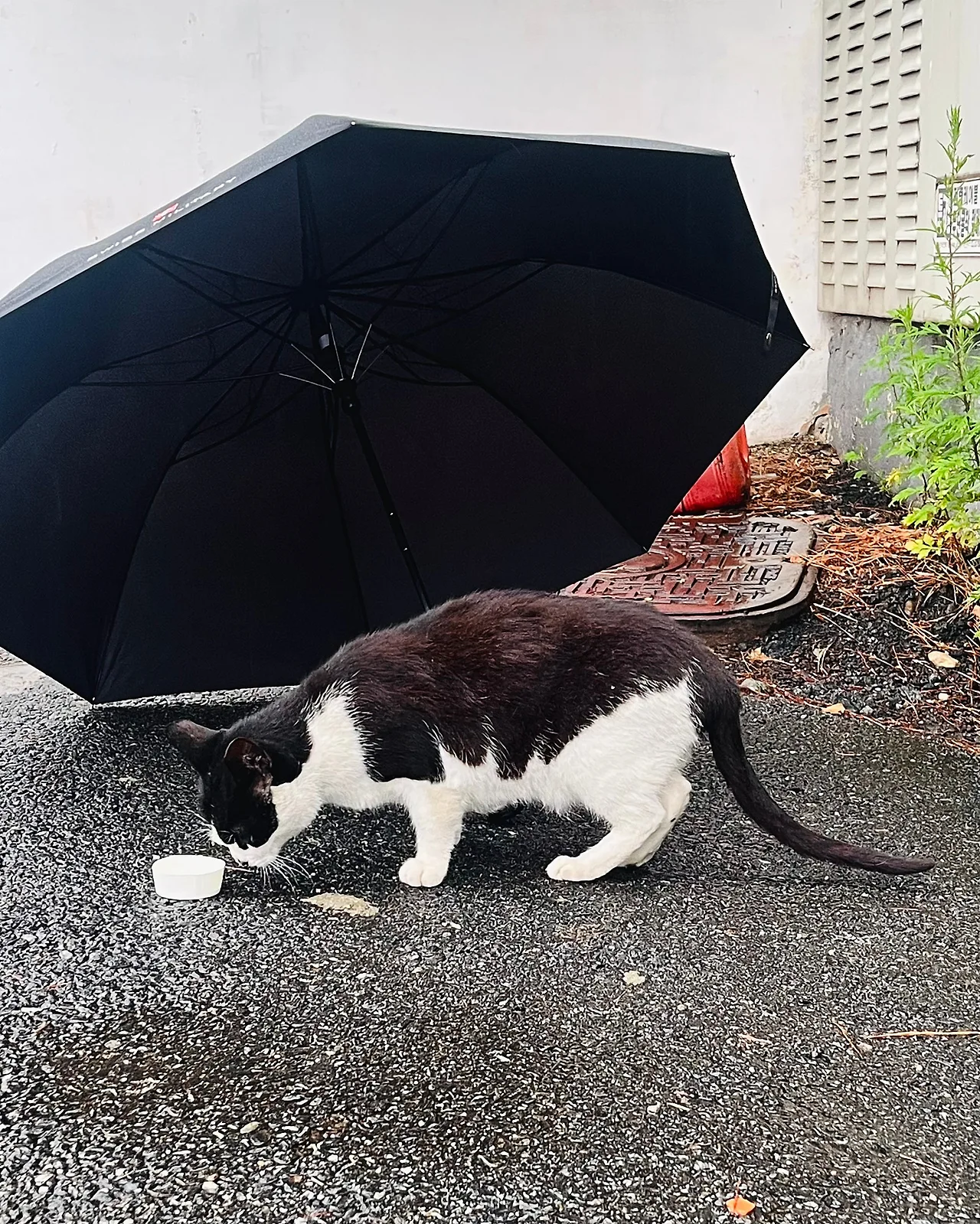 IMG%EF%BC%BF6838.jpg?type=w1600