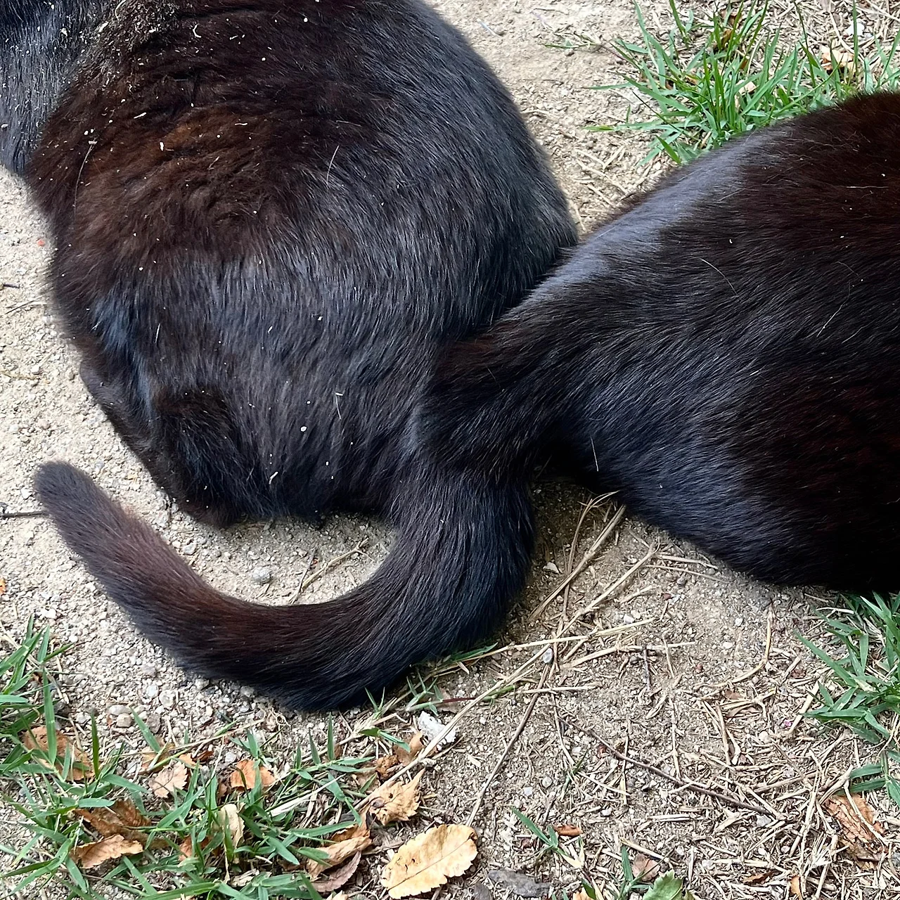 IMG%EF%BC%BF5796.jpg?type=w1600