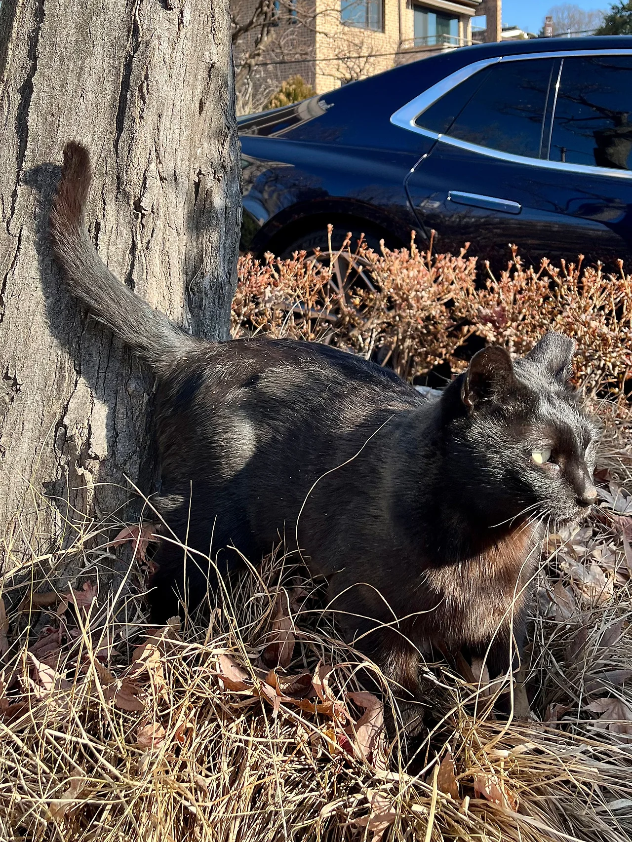 IMG%EF%BC%BF0741.jpg?type=w1600