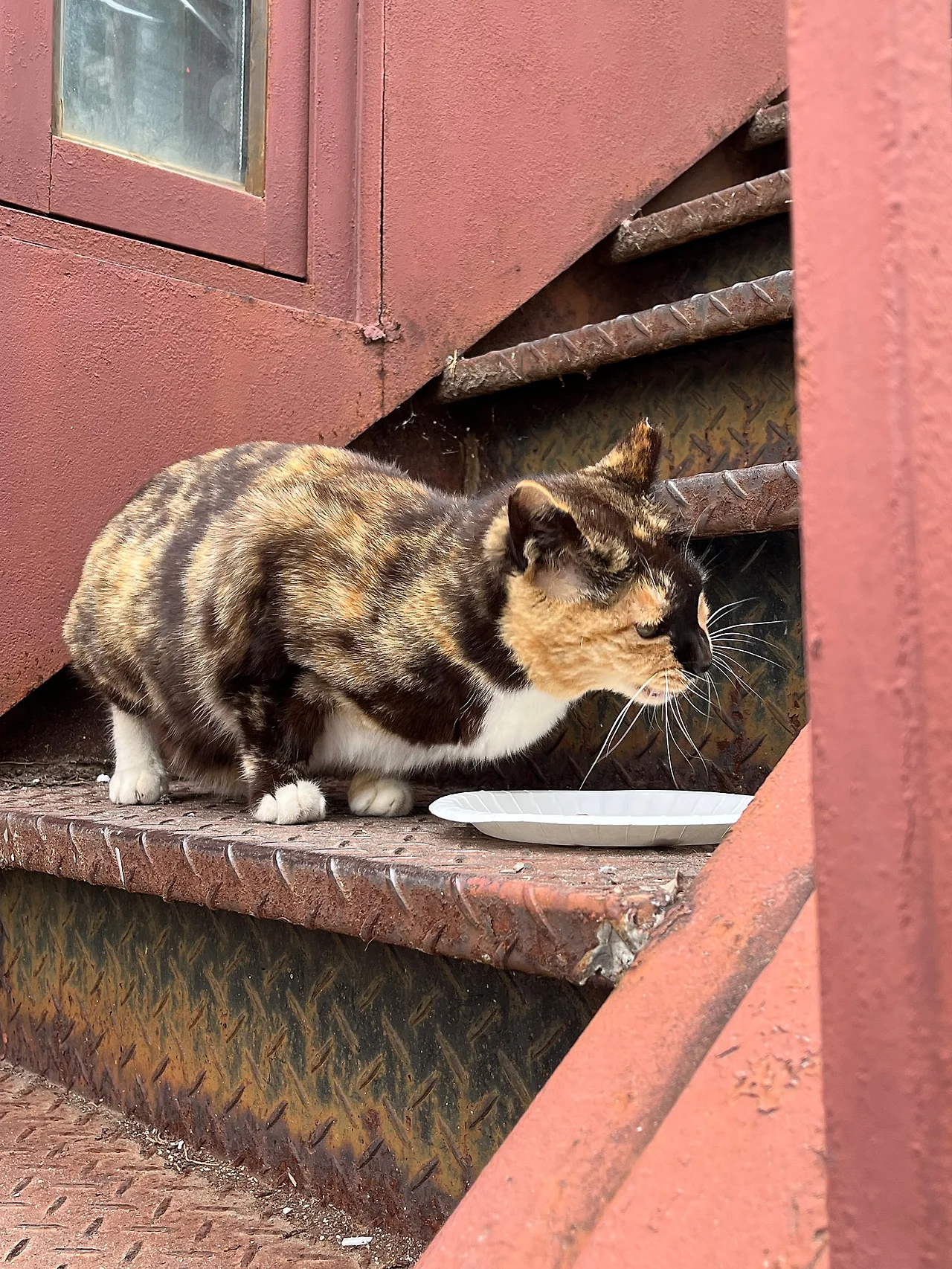 IMG%EF%BC%BF4346.jpg?type=w1600