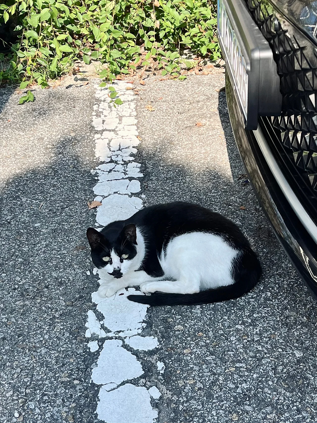 IMG%EF%BC%BF0003.jpg?type=w1600