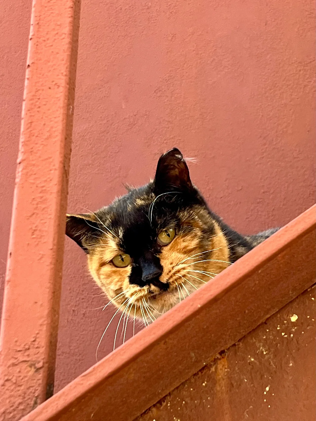 IMG%EF%BC%BF9982.jpg?type=w1600