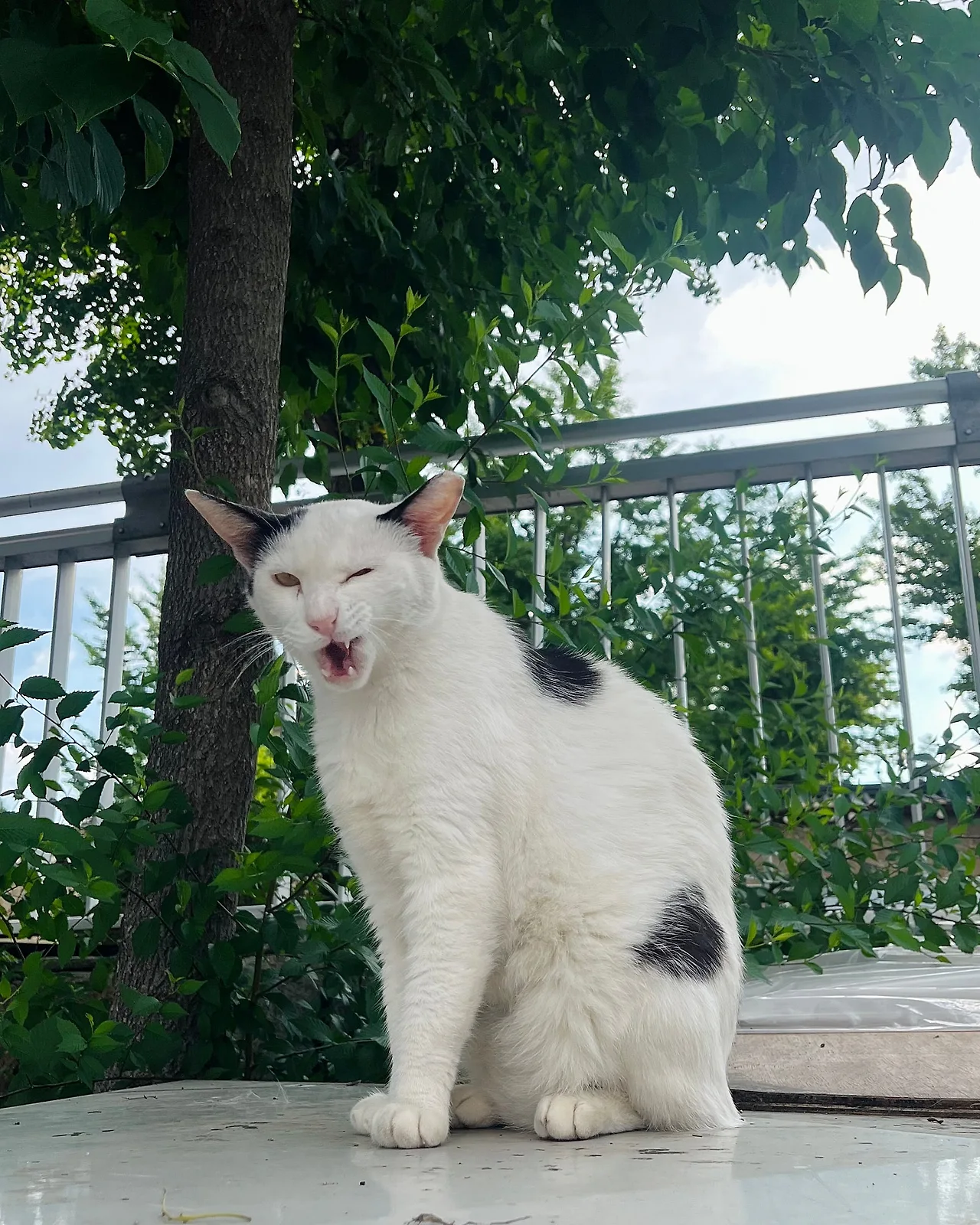 IMG%EF%BC%BF7085.jpg?type=w1600