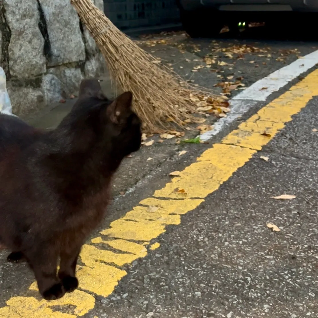 IMG%EF%BC%BF3539.jpg?type=w1600