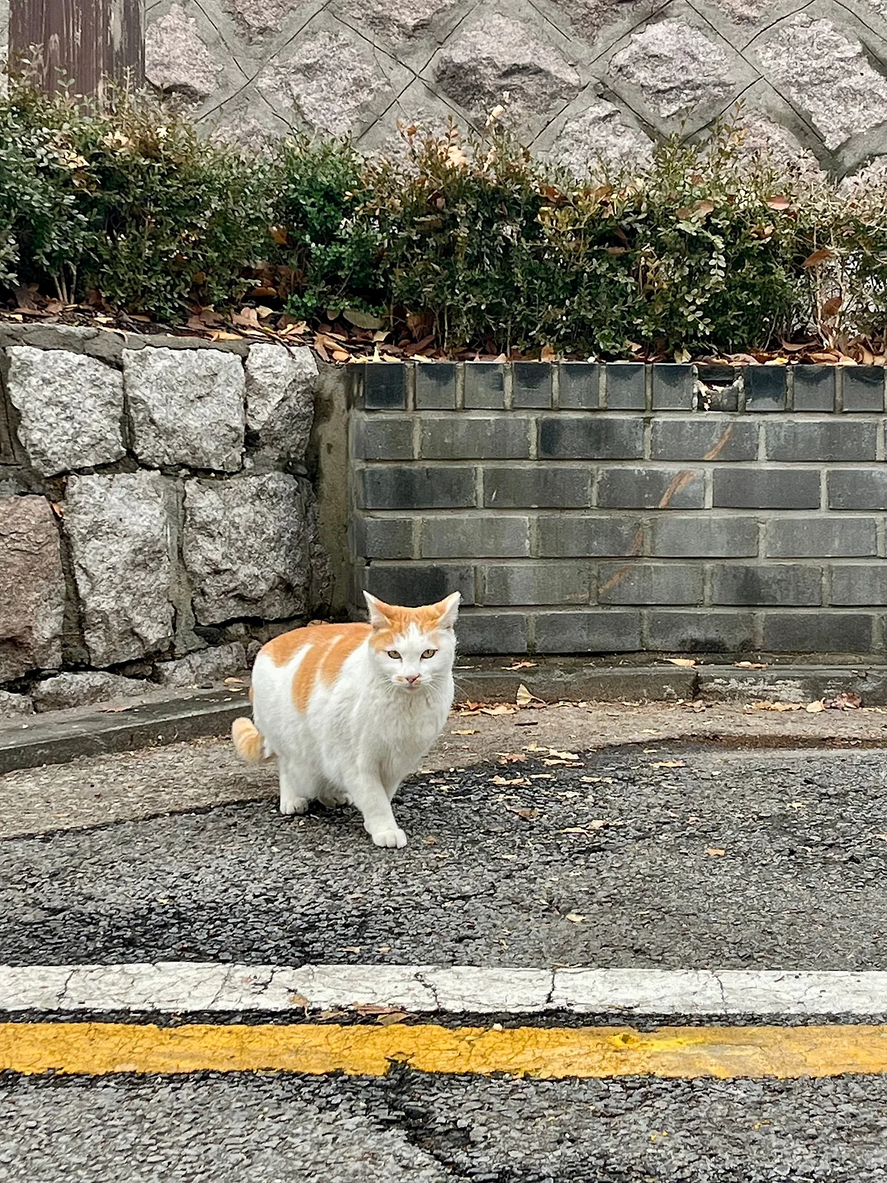 IMG%EF%BC%BF9289.jpg?type=w1600