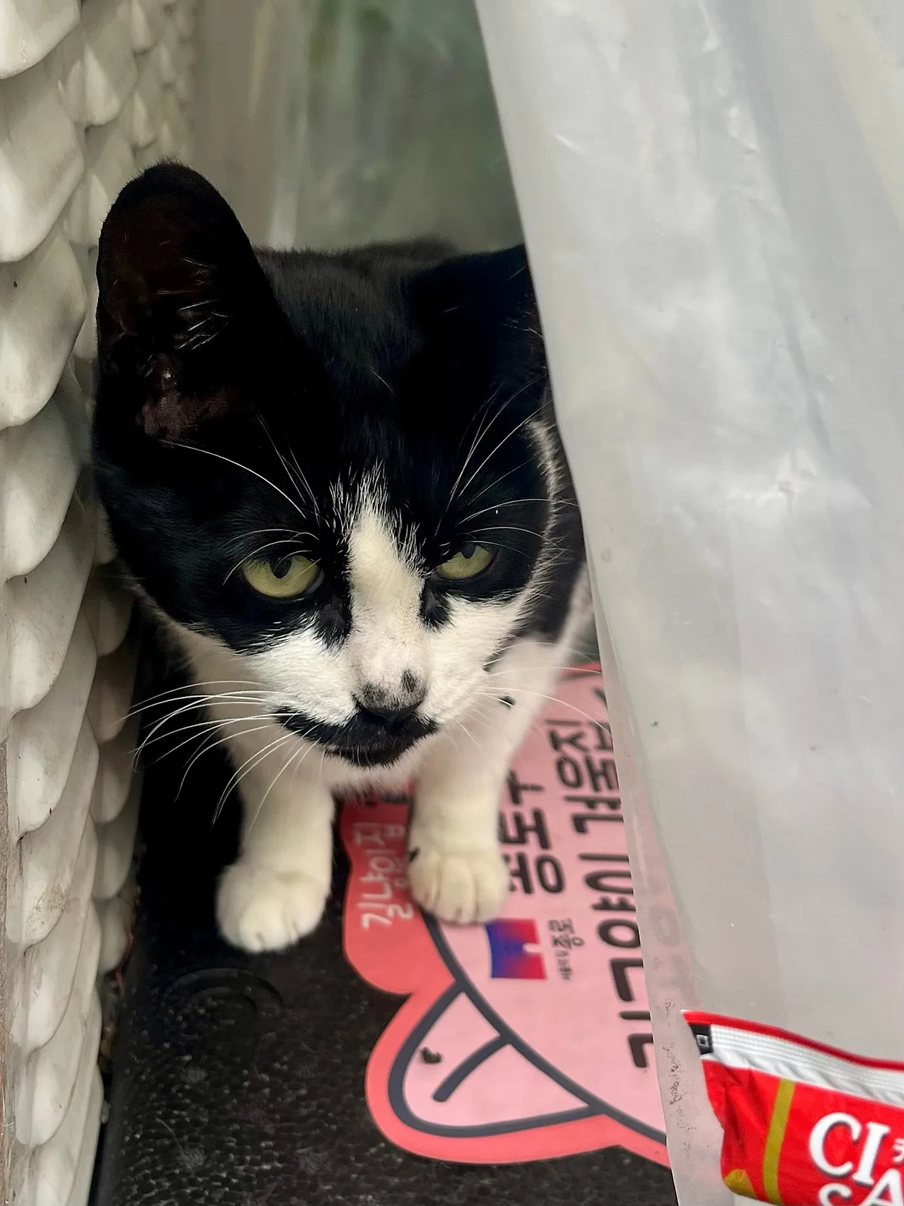 IMG%EF%BC%BF2773.jpg?type=w1600