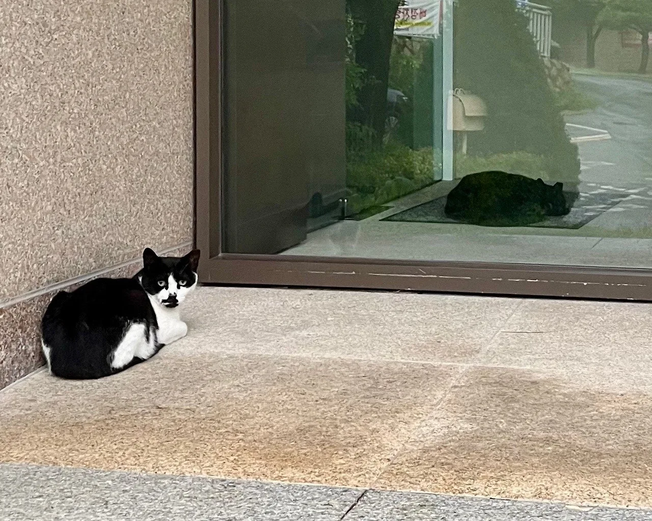 output%EF%BC%BF138891377.jpg?type=w1600