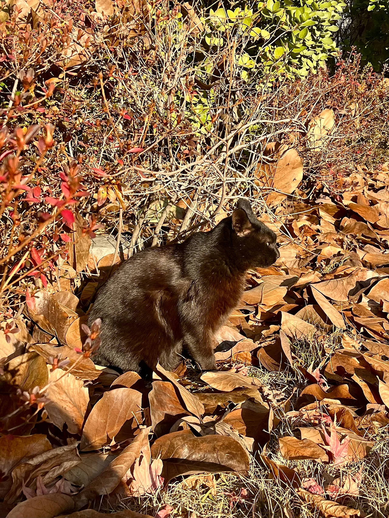 IMG%EF%BC%BF8936.jpg?type=w1600