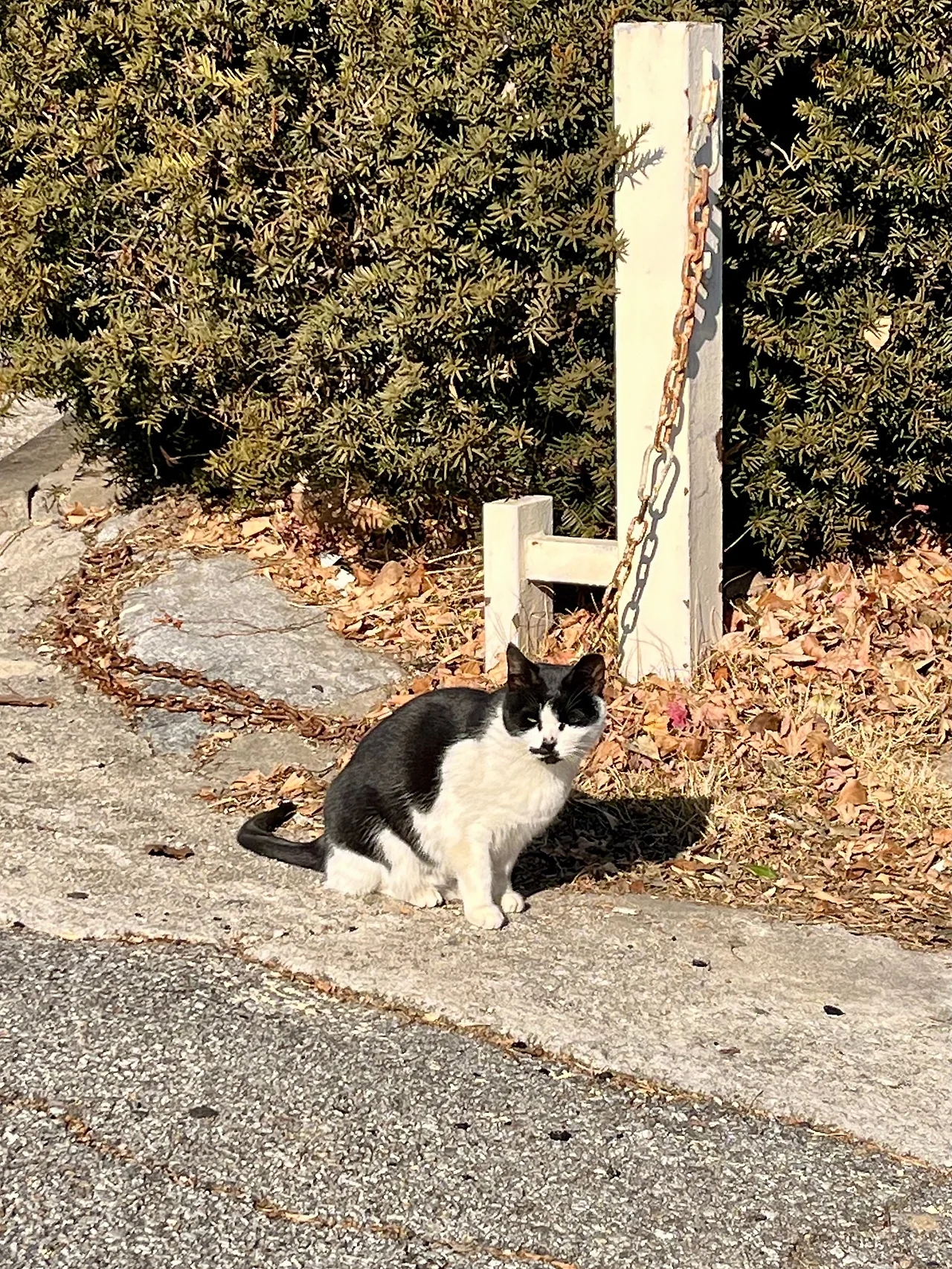 IMG%EF%BC%BF0734.jpg?type=w1600