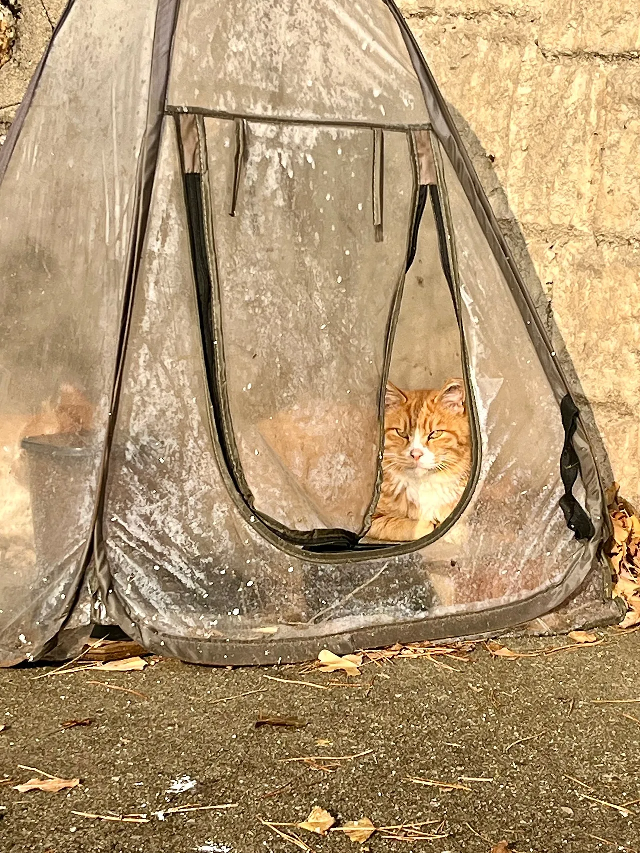 IMG%EF%BC%BF9384.jpg?type=w1600