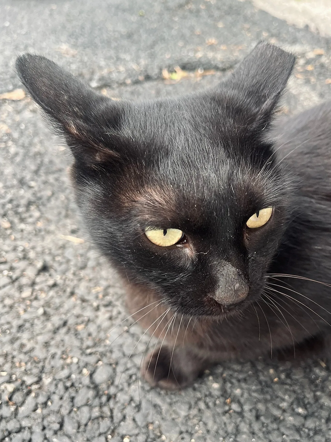 IMG%EF%BC%BF6893.jpg?type=w1600