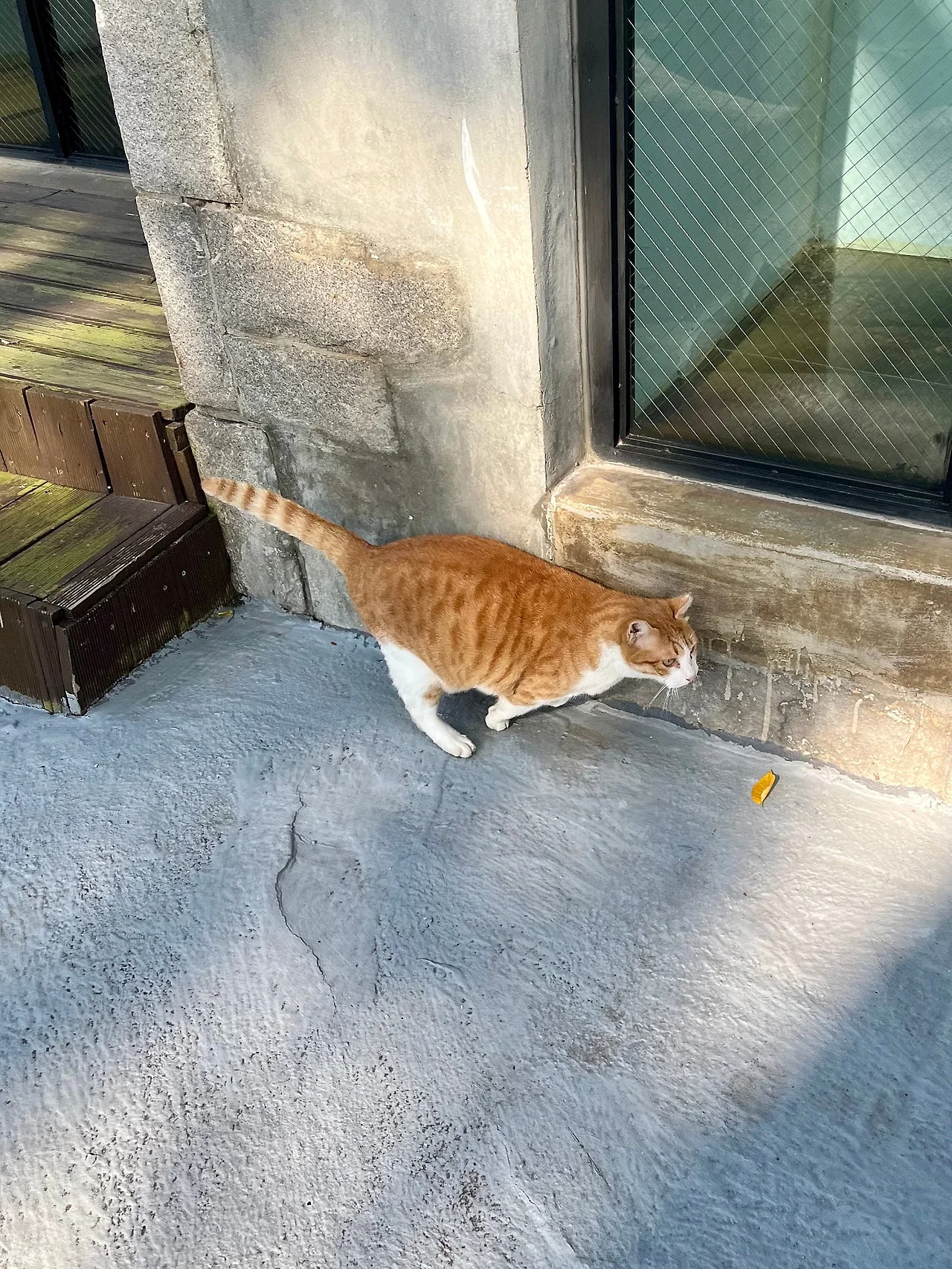 IMG%EF%BC%BF4153.jpg?type=w1600