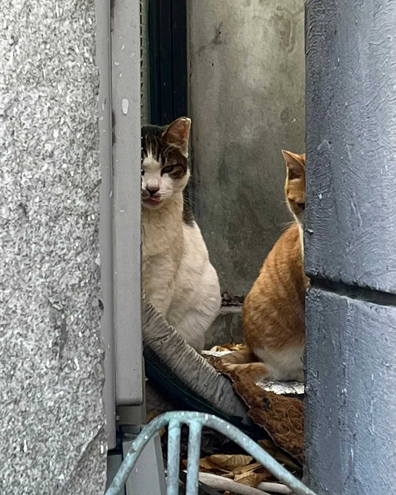 IMG%EF%BC%BF5273.jpg?type=w1600