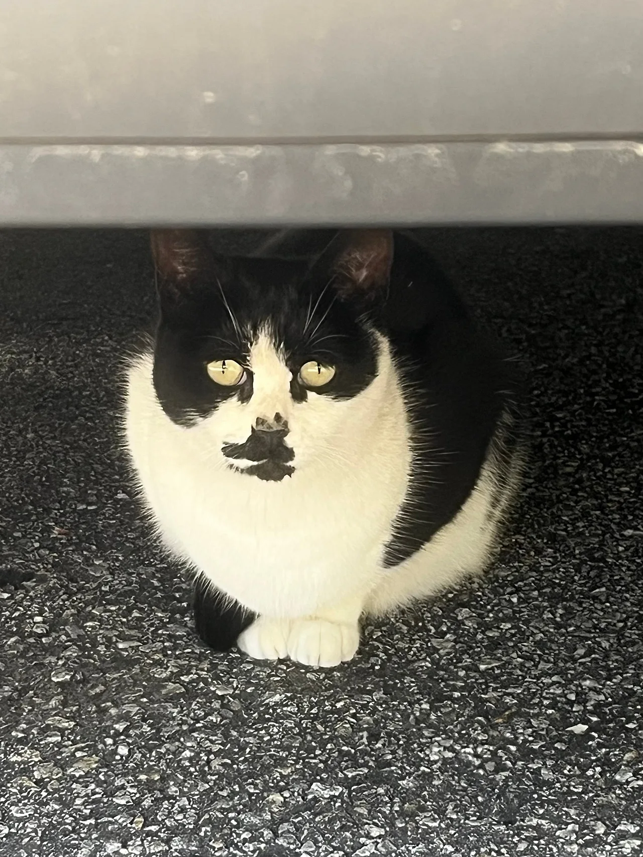 IMG%EF%BC%BF3347.jpg?type=w1600