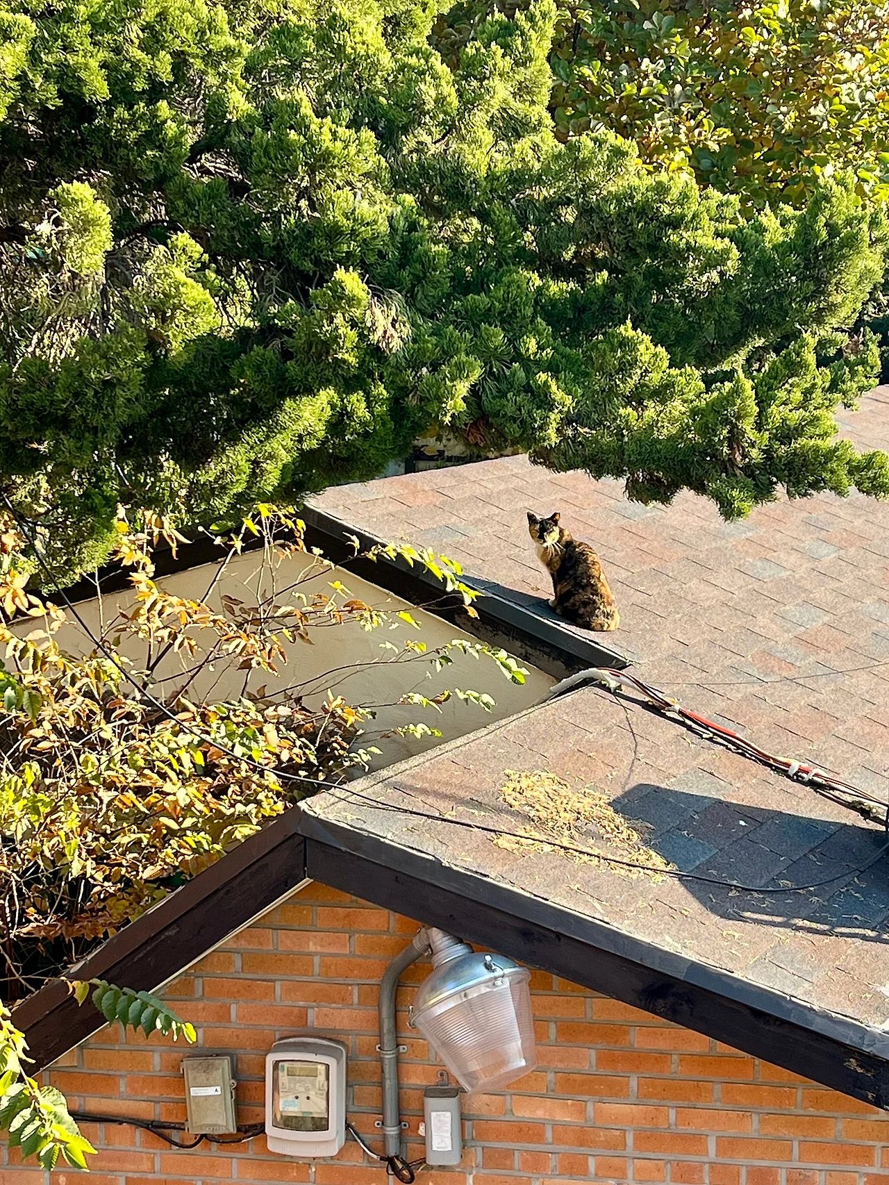 IMG%EF%BC%BF5651.jpg?type=w1600