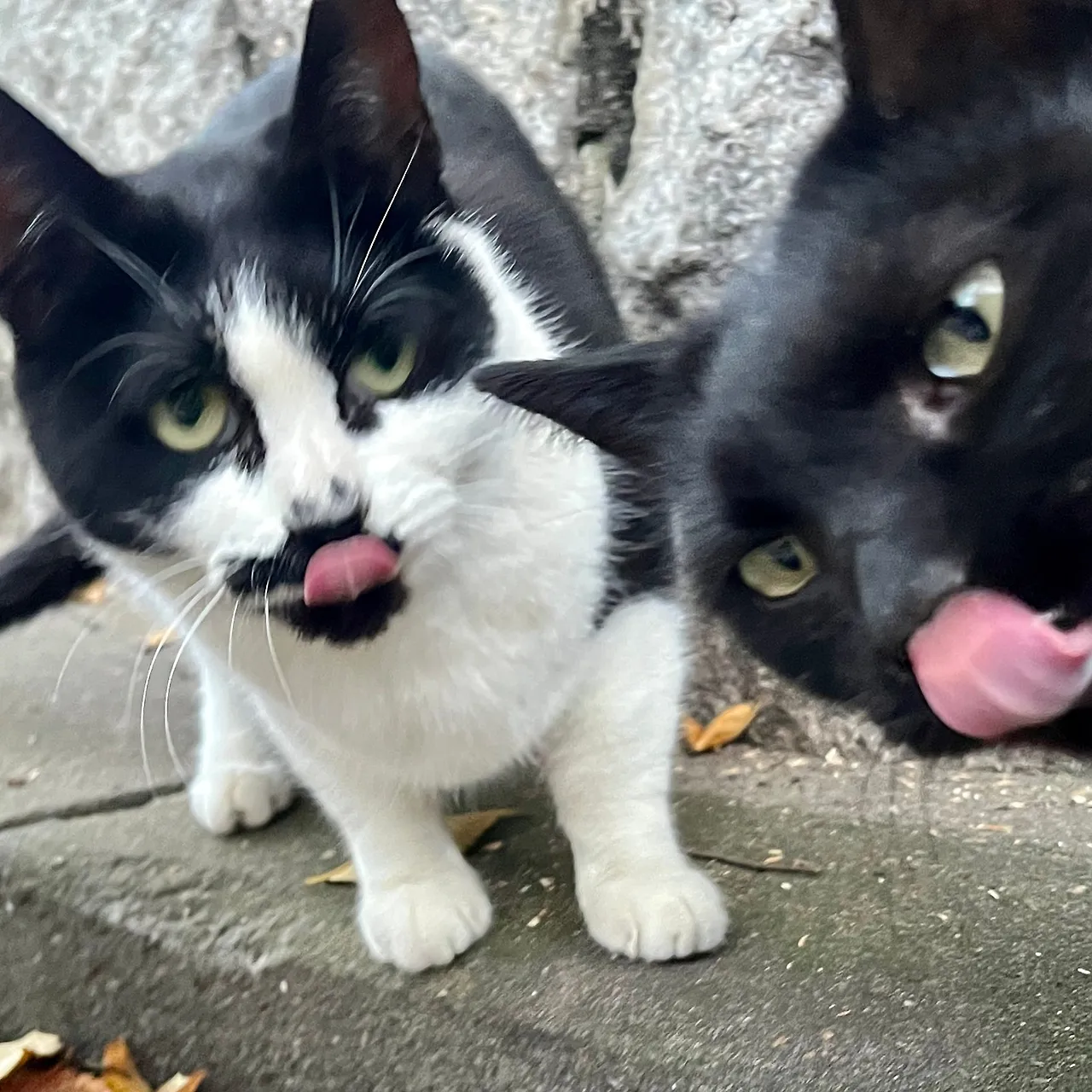 IMG%EF%BC%BF4357.jpg?type=w1600