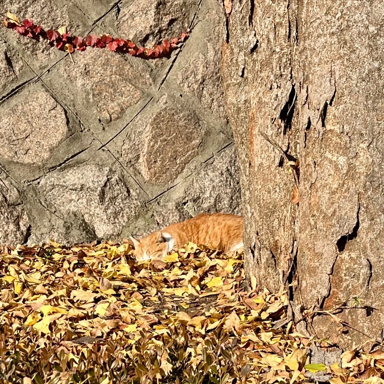 output%EF%BC%BF2596831169.jpg?type=w1600