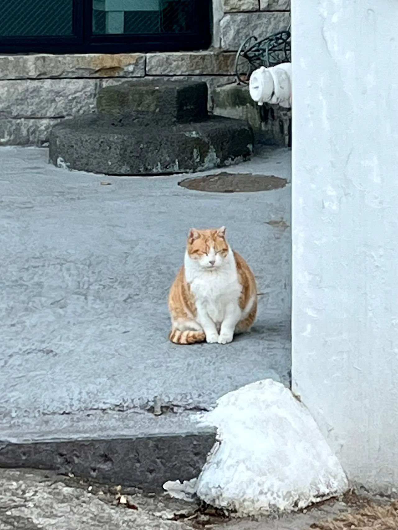 IMG%EF%BC%BF0715.jpg?type=w1600