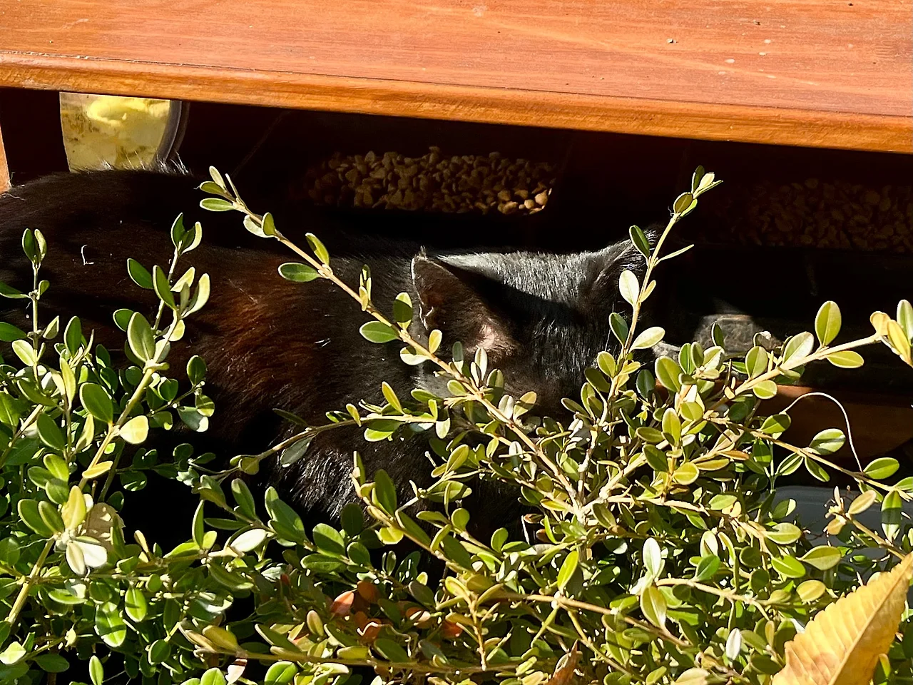 IMG%EF%BC%BF4949.jpg?type=w1600