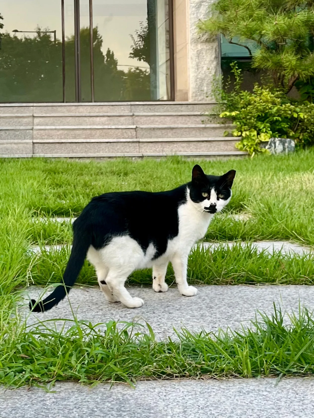 IMG%EF%BC%BF0888.jpg?type=w1600