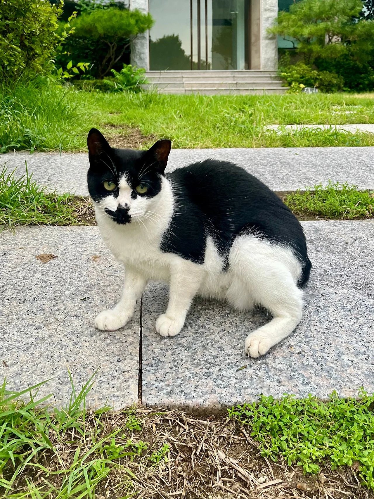 IMG%EF%BC%BF0739.jpg?type=w1600