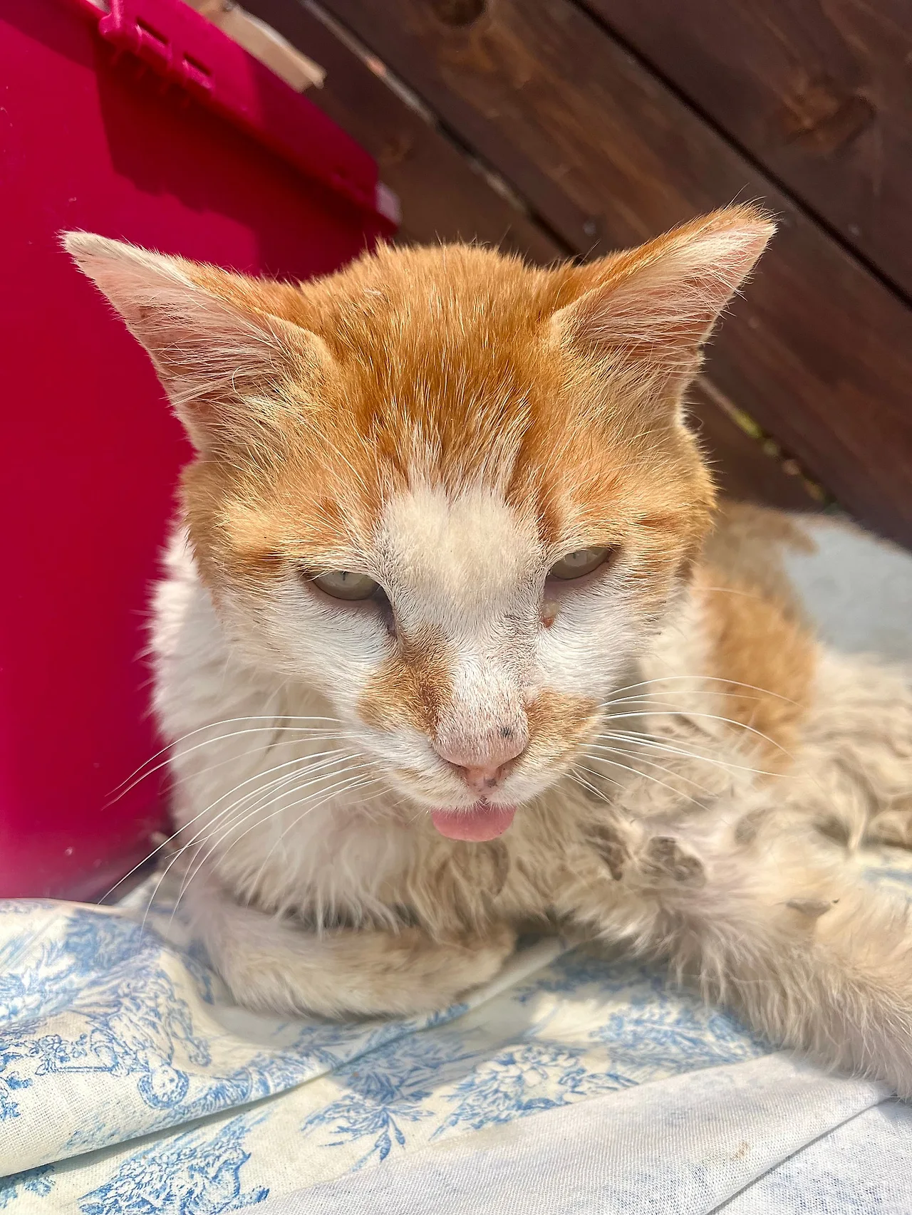 IMG%EF%BC%BF4388.jpg?type=w1600