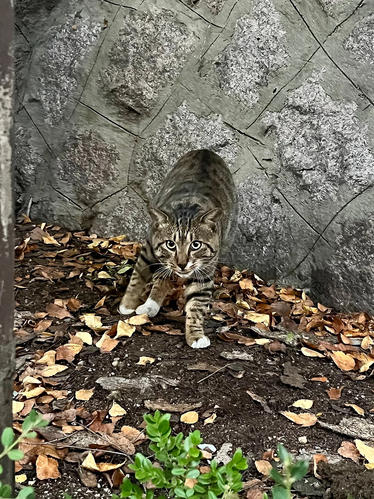 IMG%EF%BC%BF3486.jpg?type=w1600