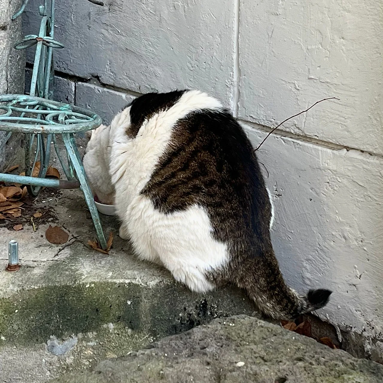 IMG%EF%BC%BF9858.jpg?type=w1600