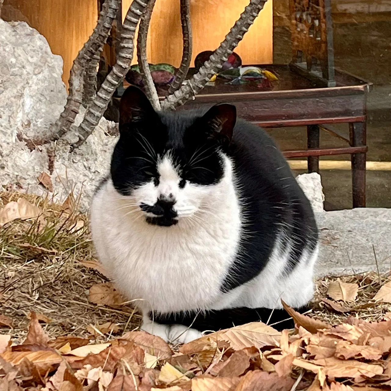 IMG%EF%BC%BF9502.jpg?type=w1600