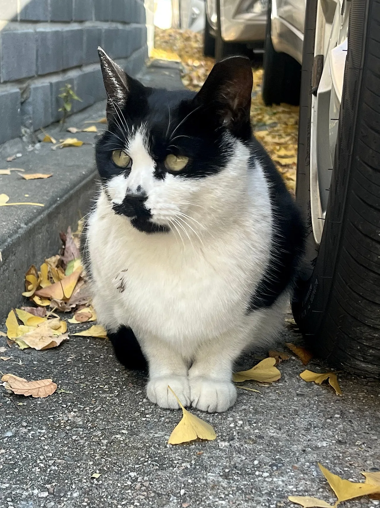 IMG%EF%BC%BF4968.jpg?type=w1600