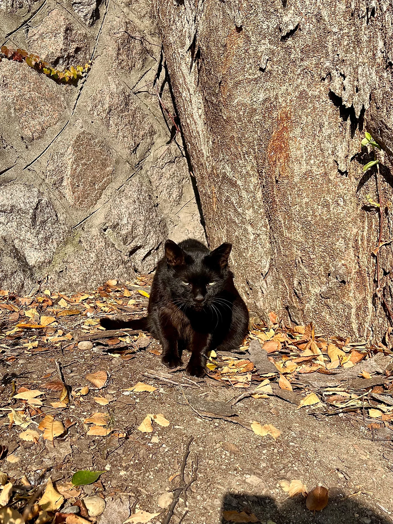 IMG%EF%BC%BF4534.jpg?type=w1600