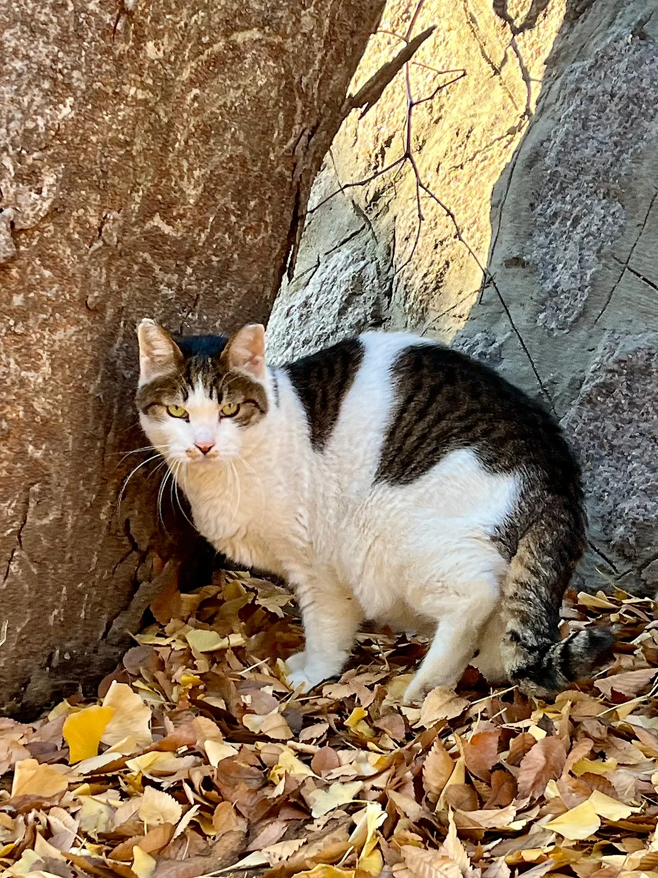 IMG%EF%BC%BF8918.jpg?type=w1600