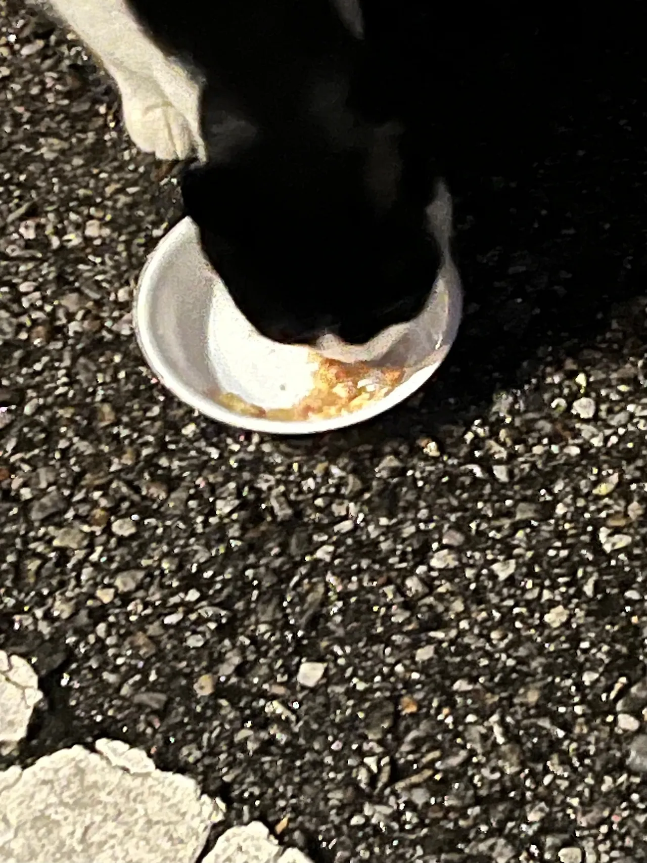 IMG%EF%BC%BF1495.jpg?type=w1600