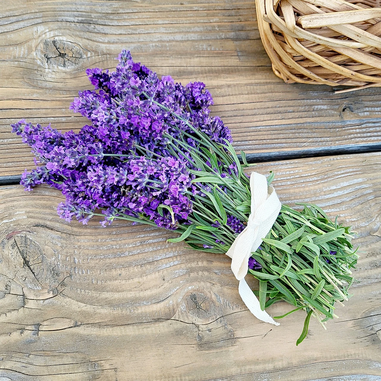 20220523_084947.jpg?type=w1600