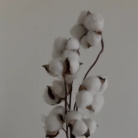 2025_17_.png?type=w466