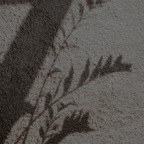 2025_13.png?type=w466