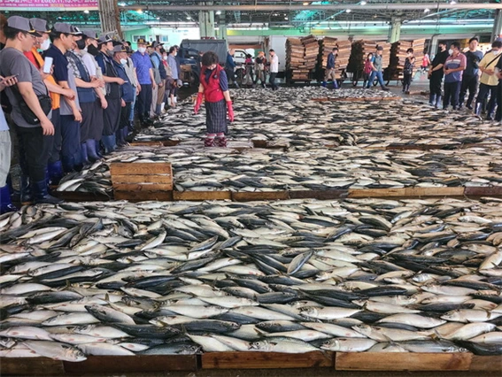 43-3. 어시장의 고등어.bmp