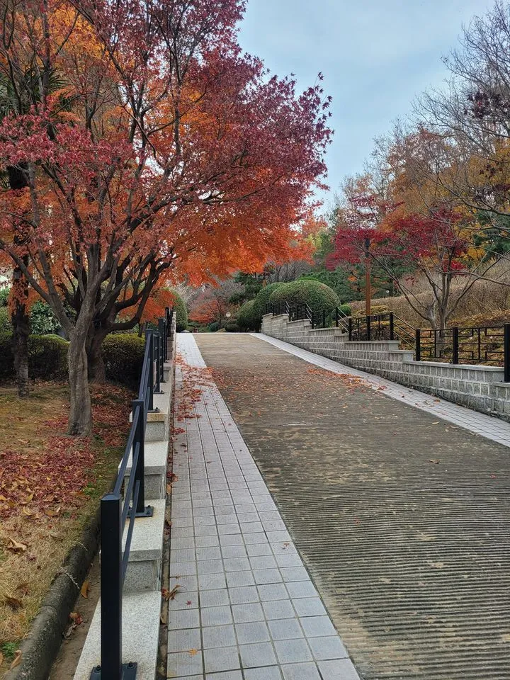 409830444_7016834515068468_8747891299447062917_n.jpg?stp=dst-jpg_p720x720&_nc_cat=102&ccb=1-7&_nc_sid=dd5e9f&_nc_ohc=T2Vv39MmhSIAX_p9ltz&_nc_ht=scontent-ssn1-1.xx&oh=00_AfCVjEvMFuyyuJ75VS3lA6VTtVdGqswBoIrjYkSnOyvBJQ&oe=65864B71