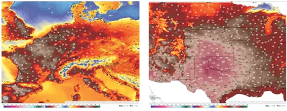 29.지구촌 폭염.bmp