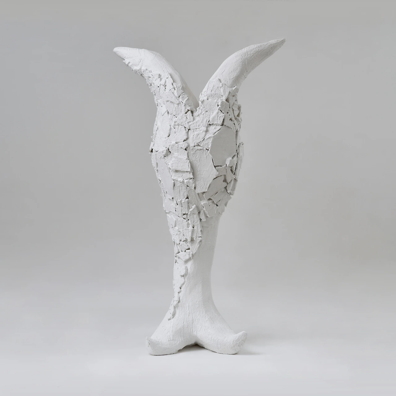 4105398.jpg?version=undefined