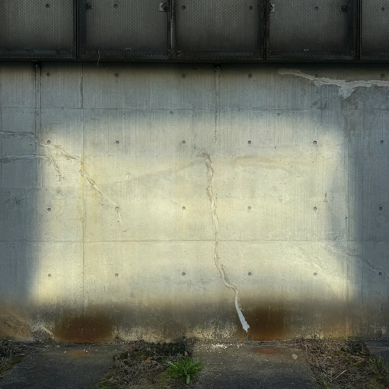 20775605.jpg?version=undefined