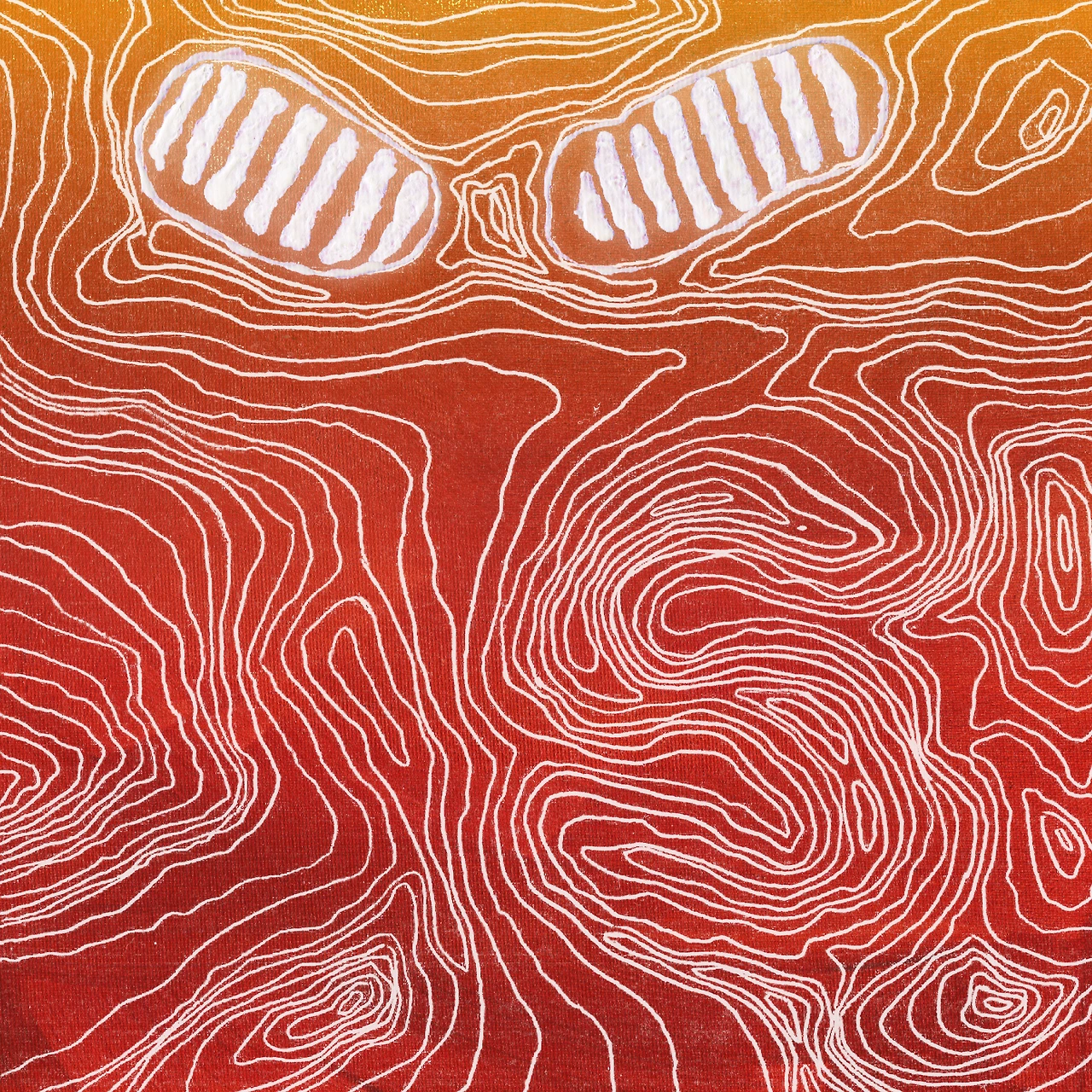 20723875.jpg?version=undefined